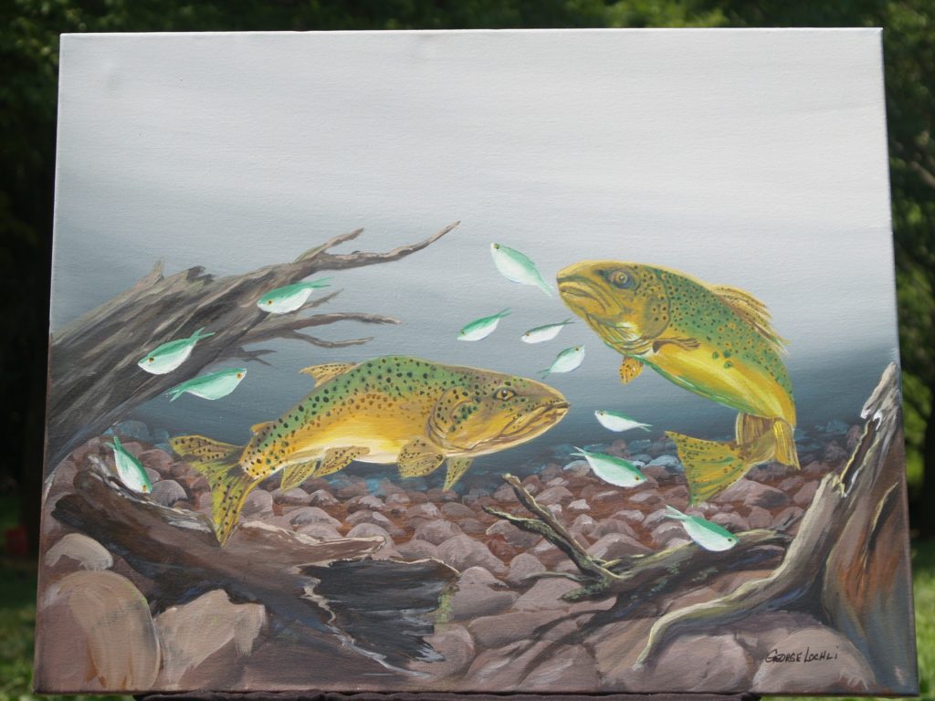Trout Scurrying Their Supper by George Lochli, Artist