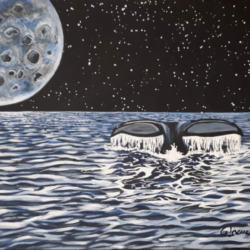 A Whale's Tale