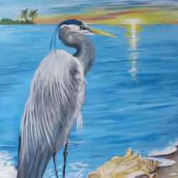 Blue Heron Sunset